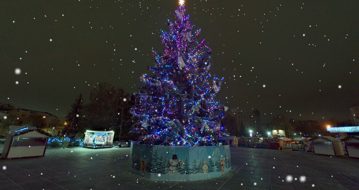 Головні красуні новорічно-різвяних свят міст Житомирської області